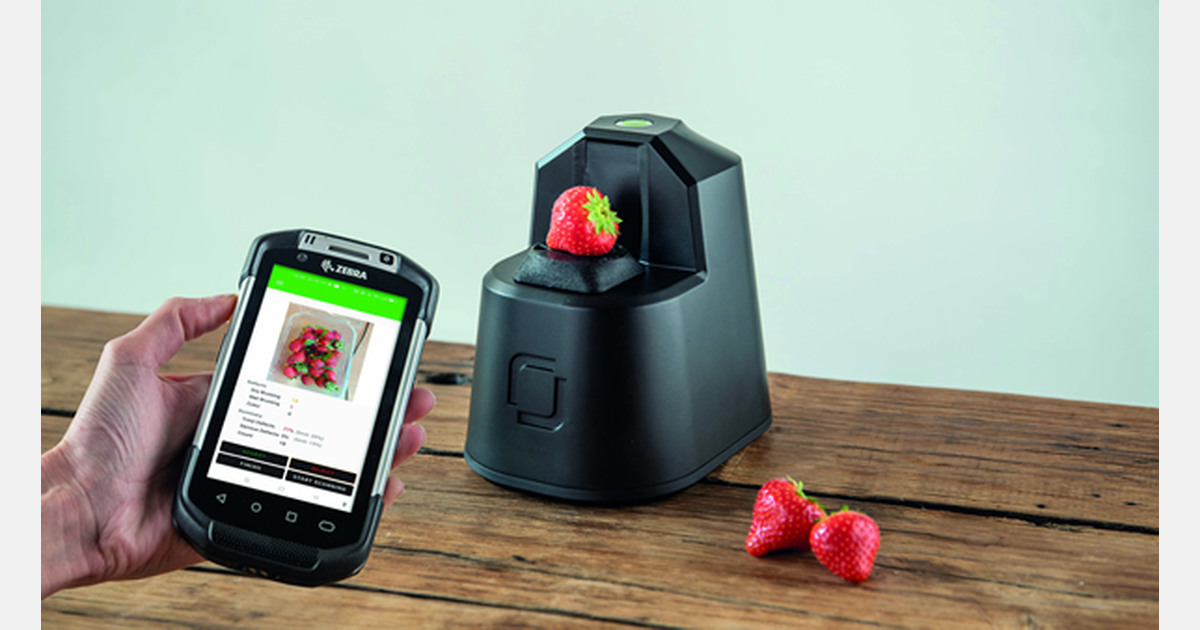 AIpowered produce scanners to put an end to wasted strawberries