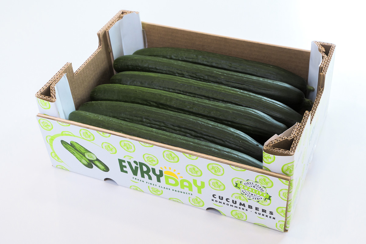 Dutch trading company expands Spanish cucumbers acreage