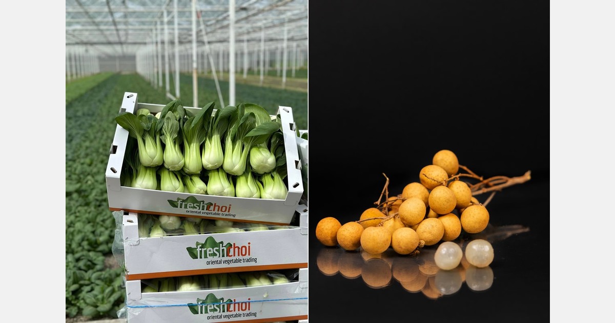 “With our import lines and Dutch production, we can offer a complete Asian range”