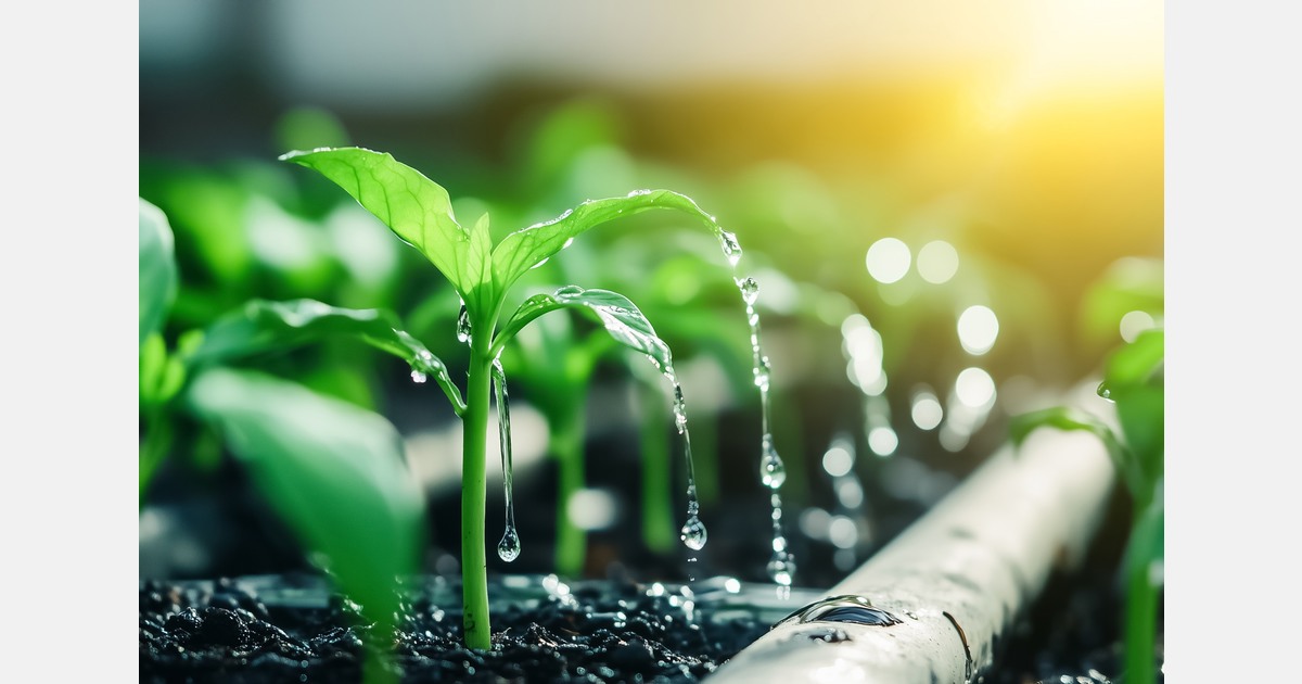 Reuse system in vegetable irrigation increases water efficiency by 60%. – Hortidaily