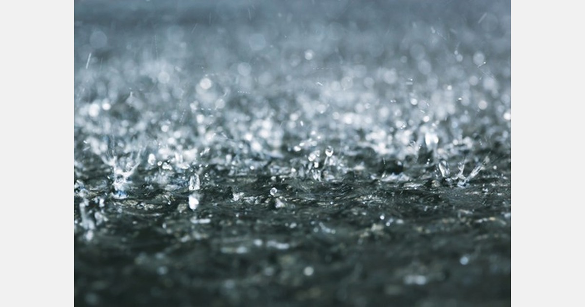 India: growers lose crops due to heavy rainfall