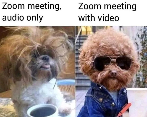 Glasses - Zoom meeting, audio only Zoom meeting with video