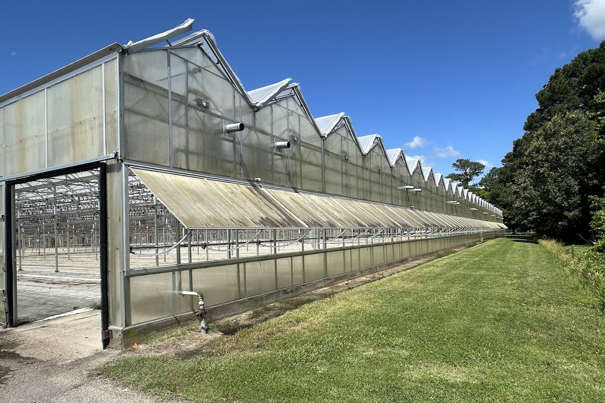 US (VA) White's Nursery & Greenhouses auction dates finalized