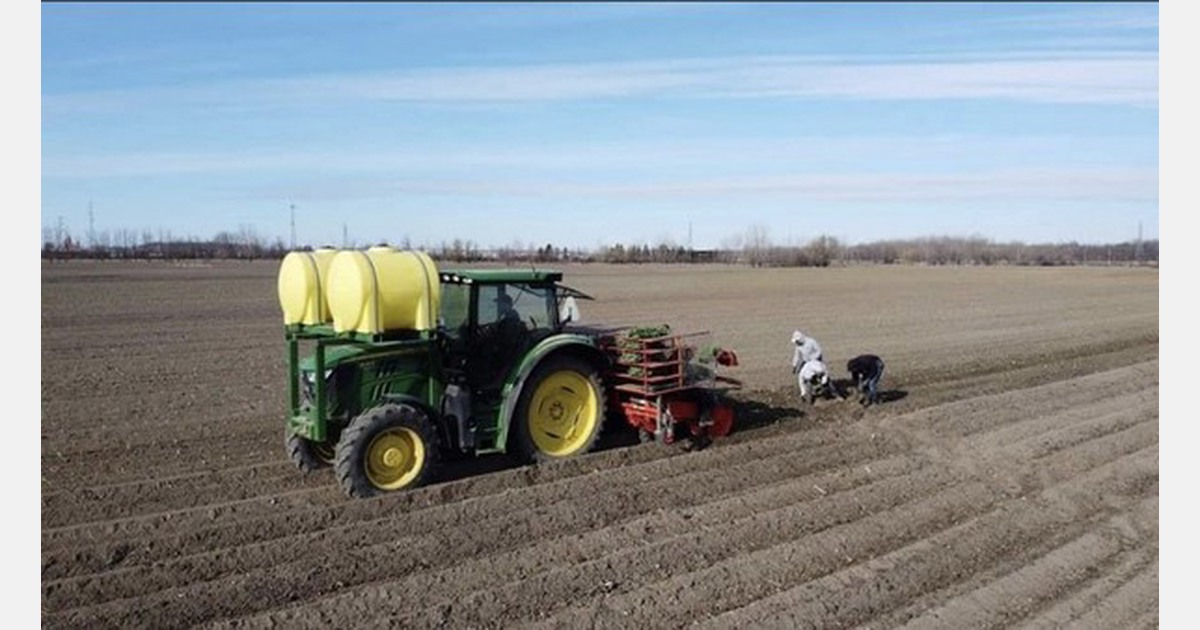 Quebec growers await foreign workers