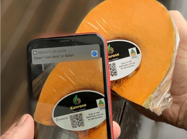 FreshChain leading a pilot traceability project