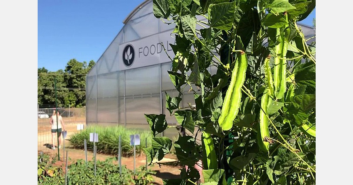 The educational program trying to develop the next generation of ...