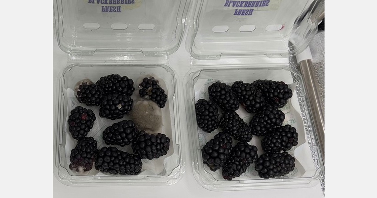 Moisture control technology launches to extend shelf life of produce