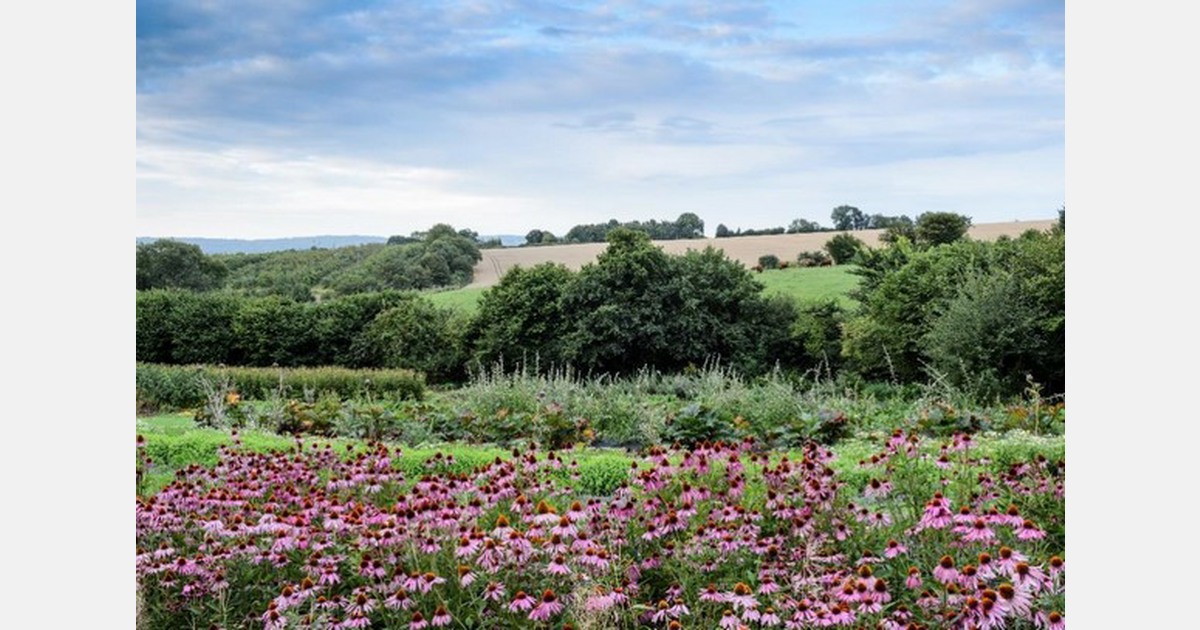 British company Organic Herb Trading celebrates 40 years of growing and