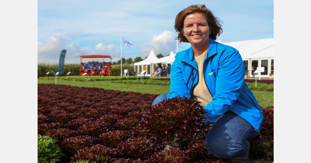 Innovatiedomeinen voor groentetelers in Nederland