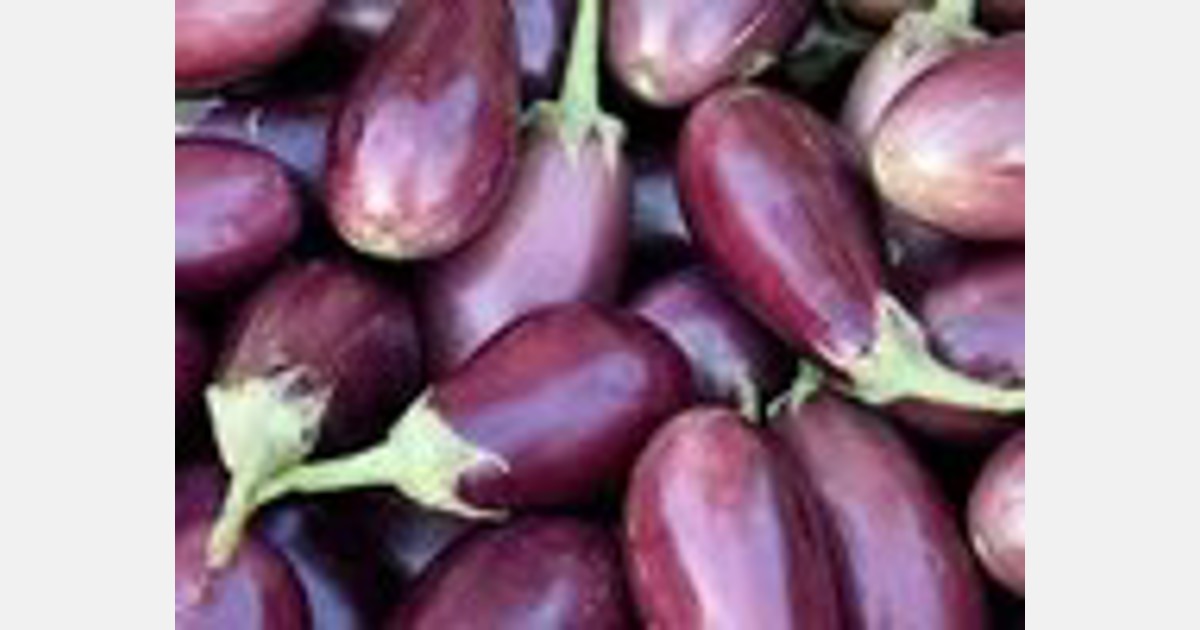 New Jersey grows the most eggplants in the world