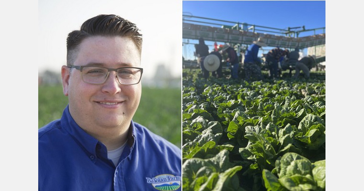 Prices correcting on lettuce supplies