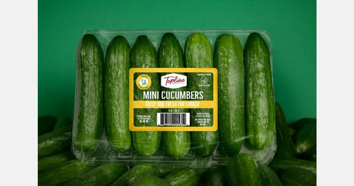 Greenhouse grower launches protected mini cucumber with longer