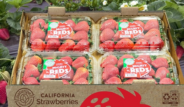 New jumbo strawberry brand launched
