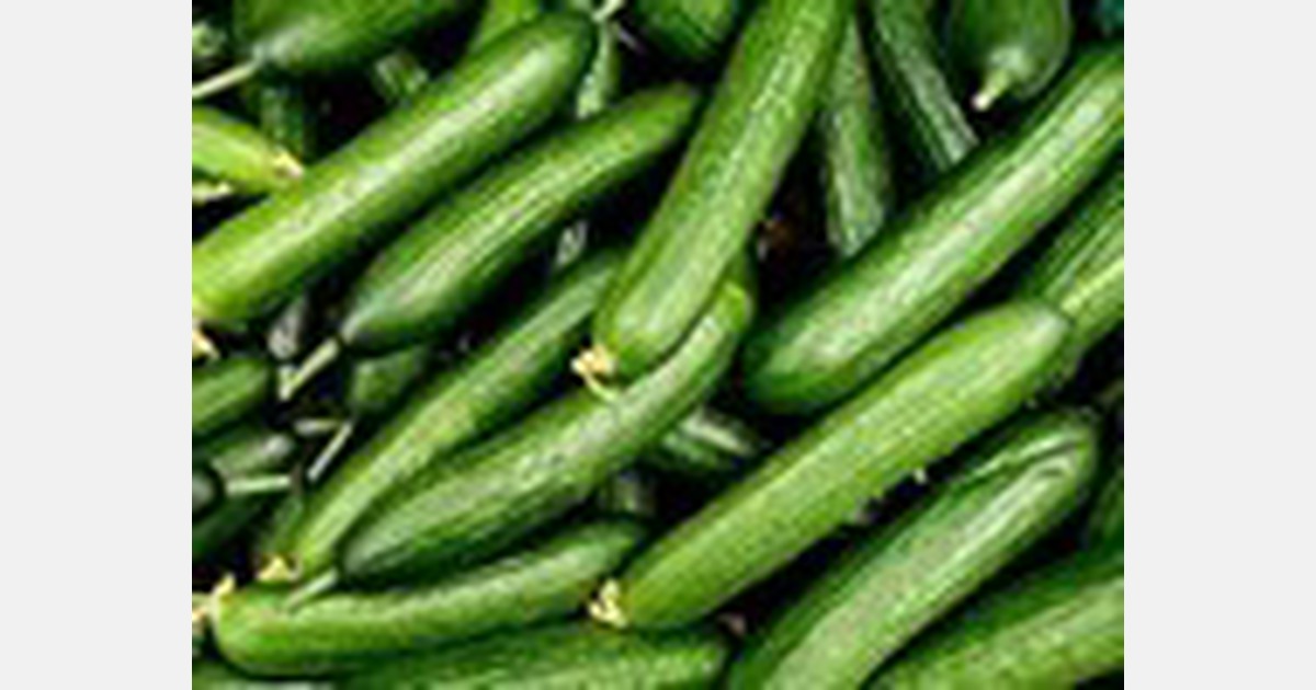 Canadian consumers see cucumbers prices up 63 percent over last year