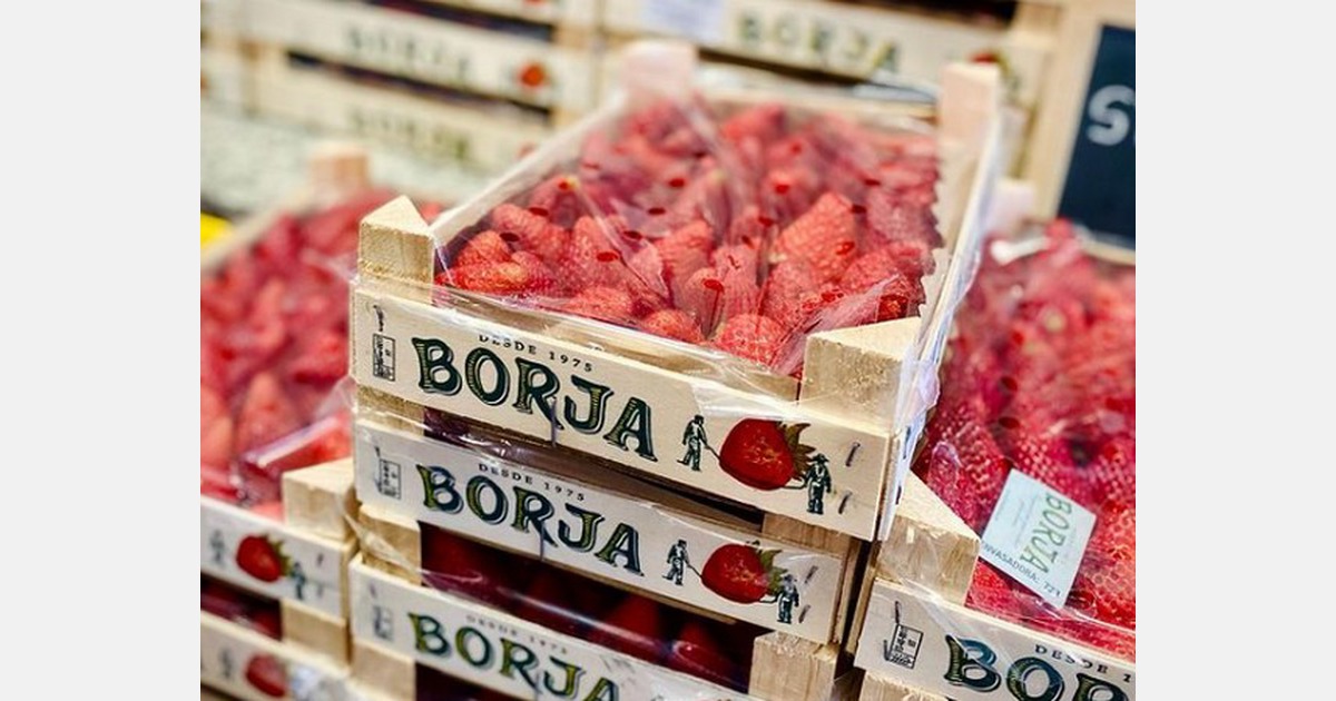Toronto specialty store offers 'Extremely rare strawberries' for 28/crate