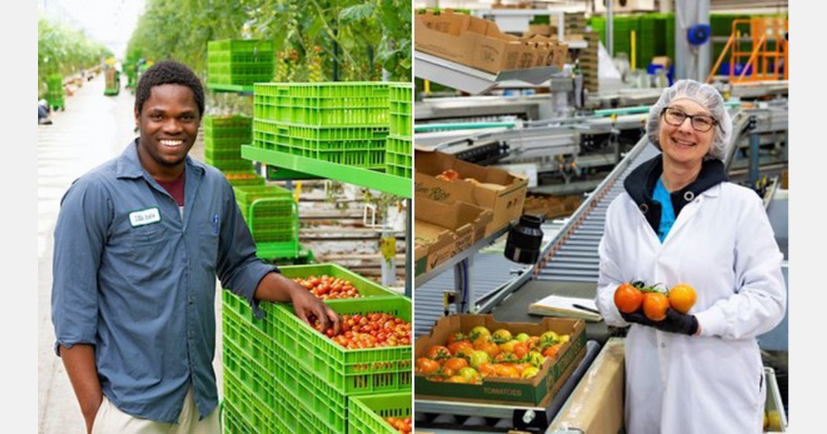 Seasonal worker program essential part of Canada's ag industry