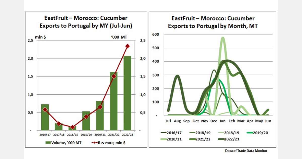 Exportações de pepino de Marrocos para Portugal em meio à pior seca da Europa