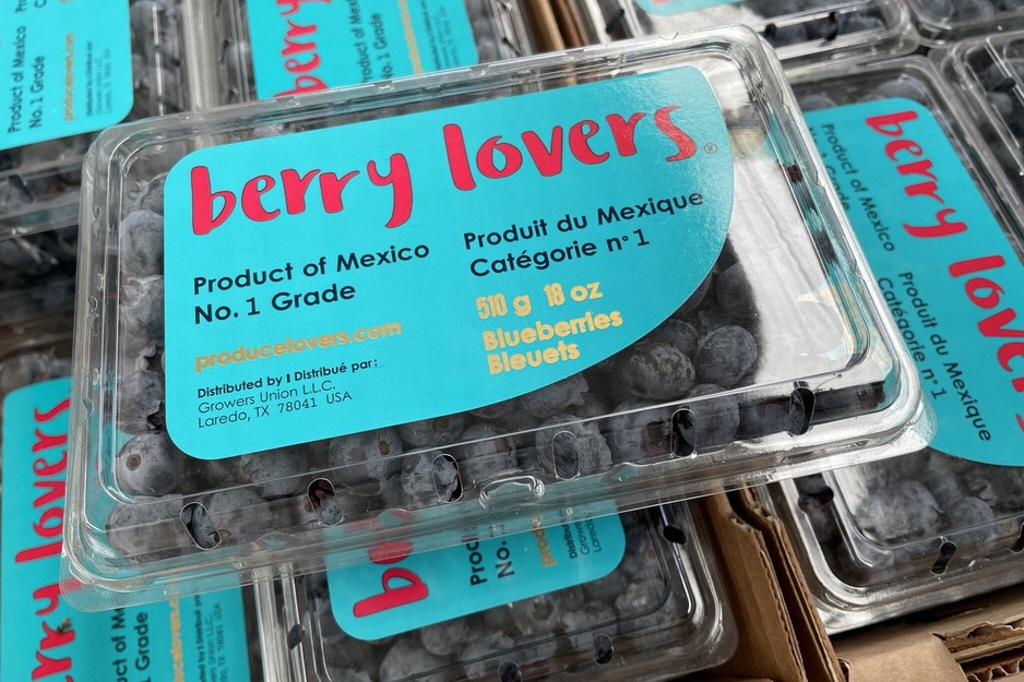 Mexican blueberries hope to return back to normal volumes in 2024