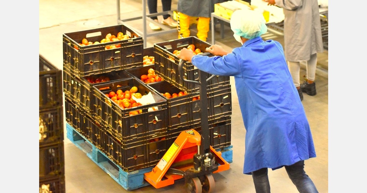 South African vegetable oversupply deflates prices, with notable exceptions