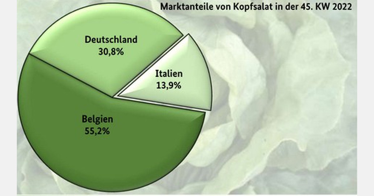 'German iceberg lettuce and endive season is coming to an end'