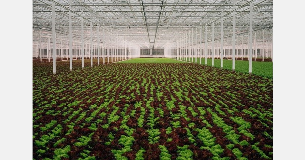 "The solution is our new greenhouse with innovative cultivation technology"