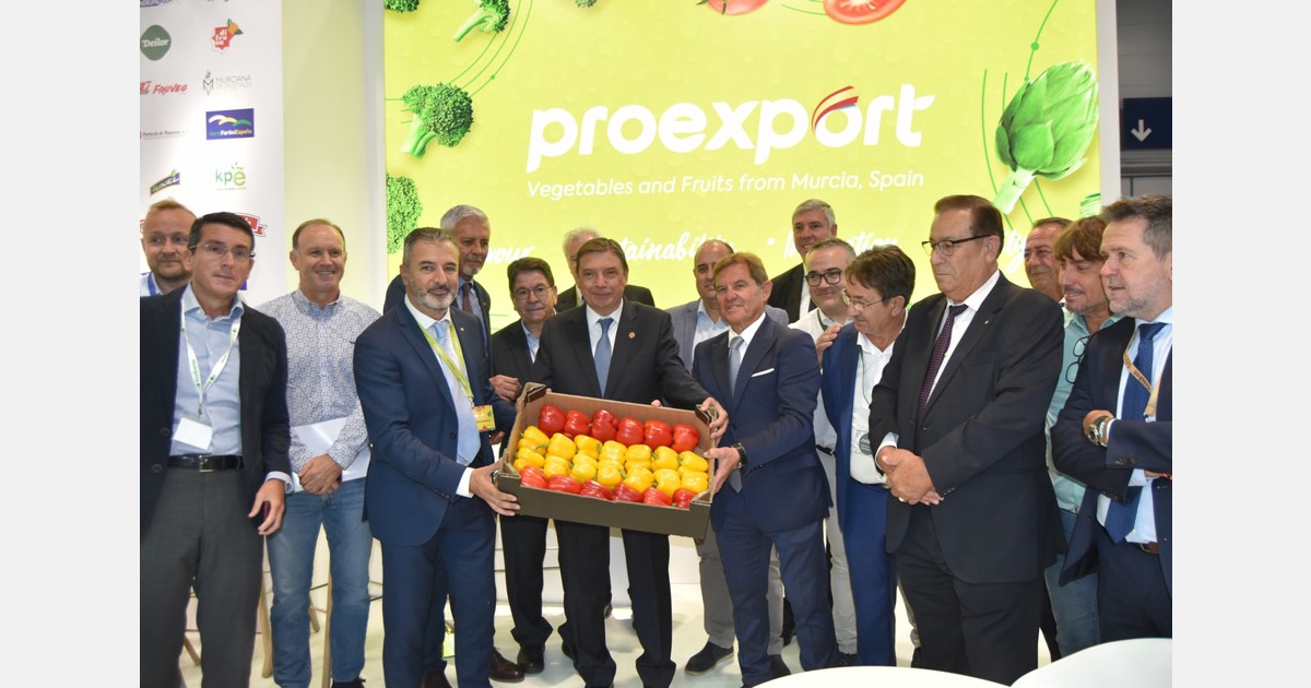 2023 cerró con menores volúmenes de exportación hortofrutícola española, pero aumento de valor