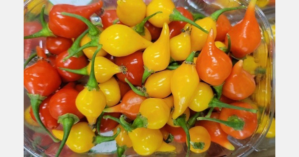 Drop peppers A niche product appreciated for their look and taste