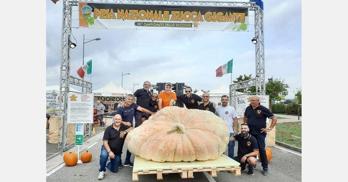 The largest pumpkin in the world comes from Italy and weighs over 1200 kg