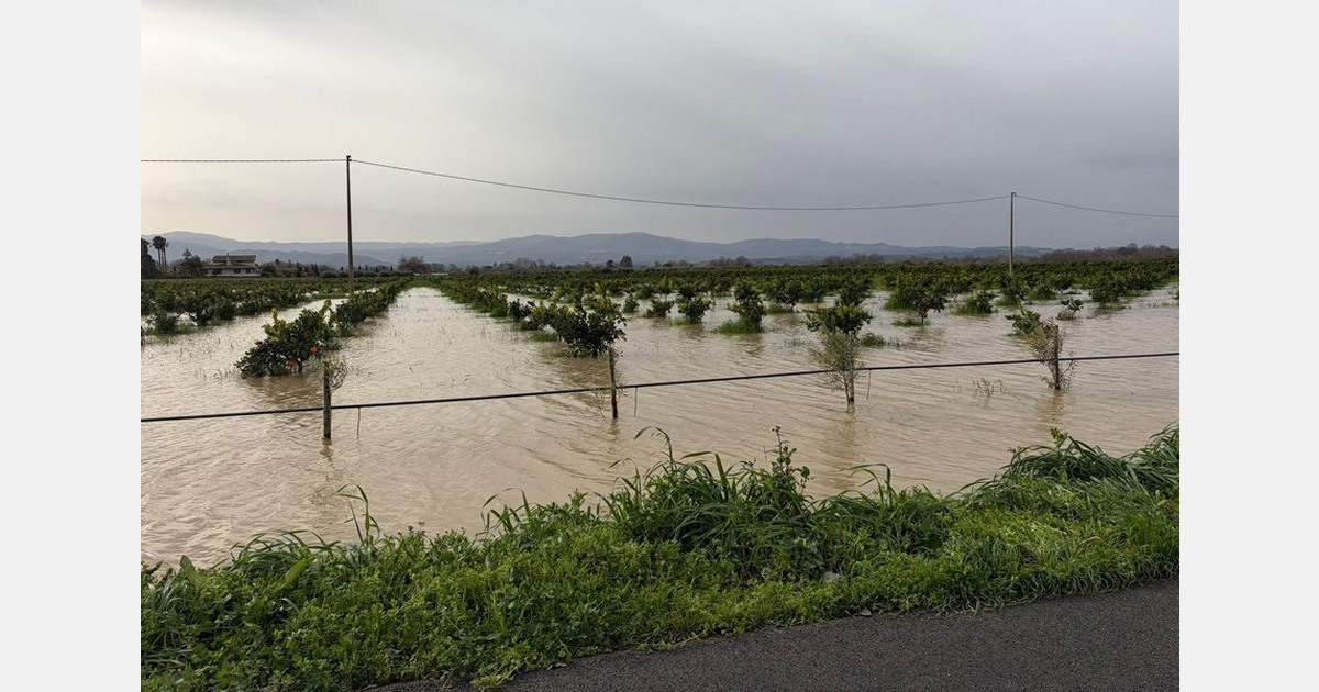 Unrelenting bad weather in Calabria: Flooded fields, torn greenhouses ...