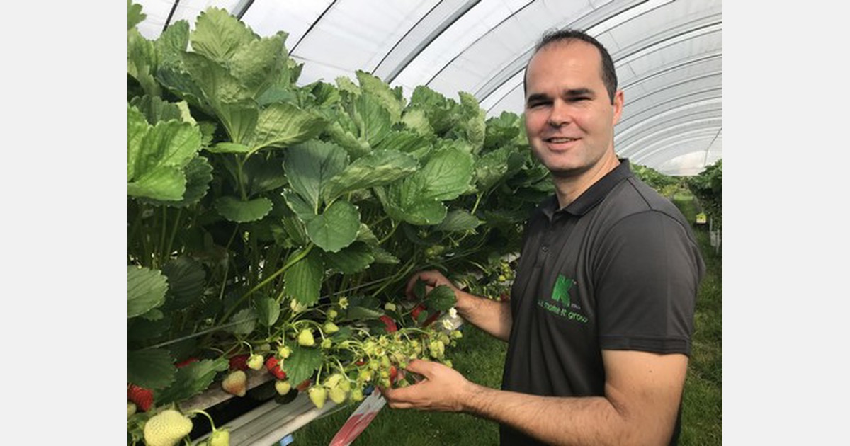 "Good results with new substrate of alternative wood fiber raw material"