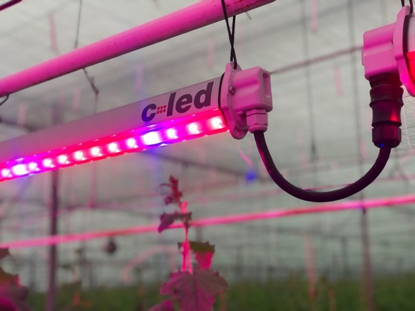 Compact LED luminaire stands out with choice options