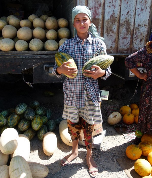 Glasshouse growers wanted for seed production