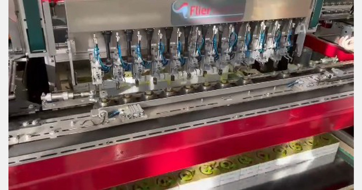 Transplanting young vegetable plants on rockwool automated