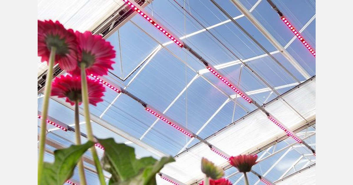 Leaflet on LED and potential health risks