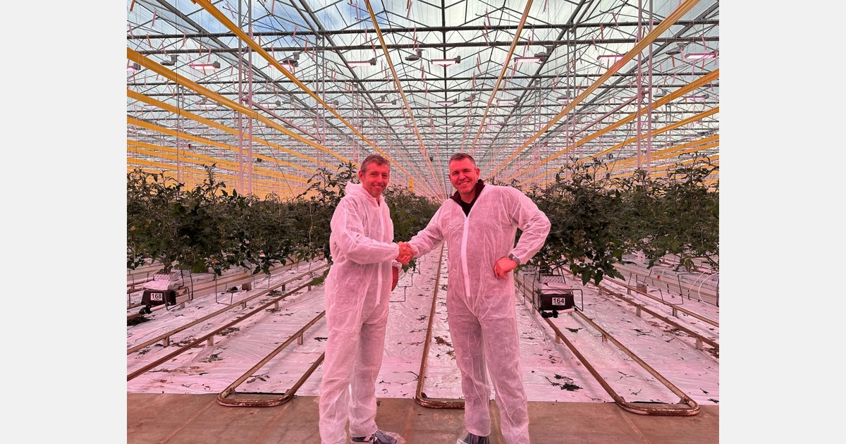 Dutch growers sign multi-year agreement with light specialist