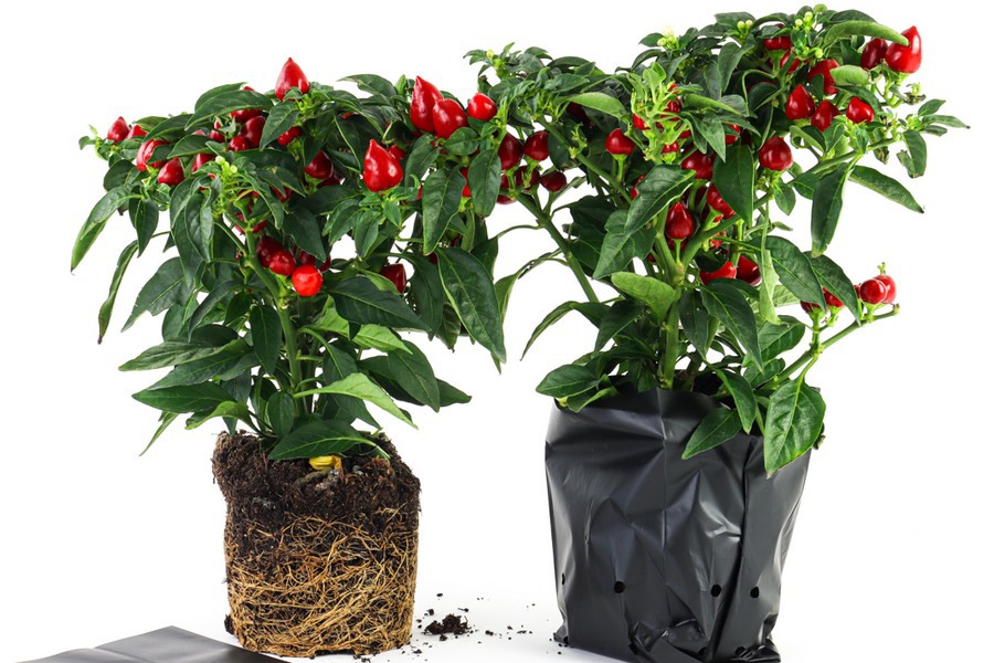 Renew, reuse, recycle, reduce, and redesign