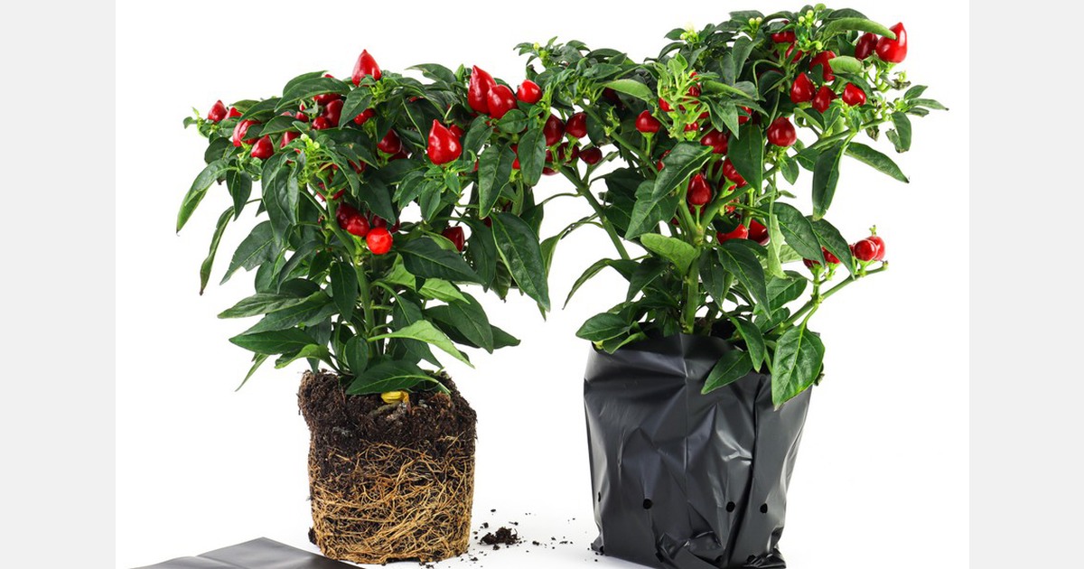 Renew, reuse, recycle, reduce, and redesign