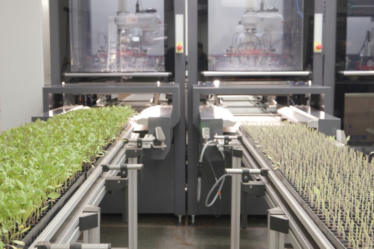 Grafting automation takes a leap forward