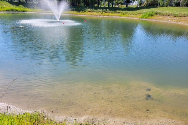 Bell pepper grower invested in water quality: "Healthy roots and higher production all year round"
