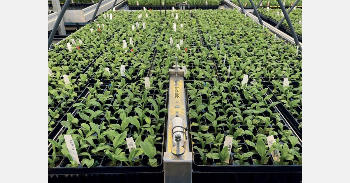 Aranet expands substrate weighing systems for containers, soil, and larger growing formats