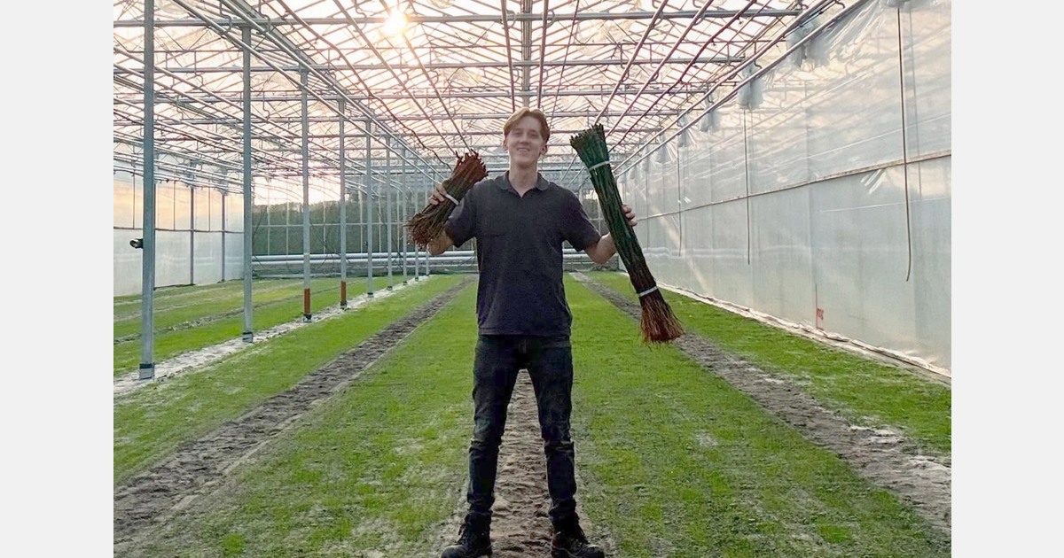 Dutch grower turns to ChatGPT to explore new crop direction