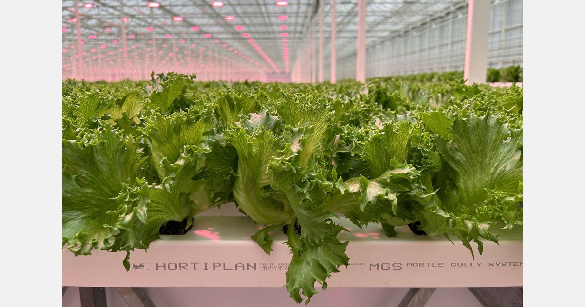Hortiplan brings automated growing solutions to growers worldwide
