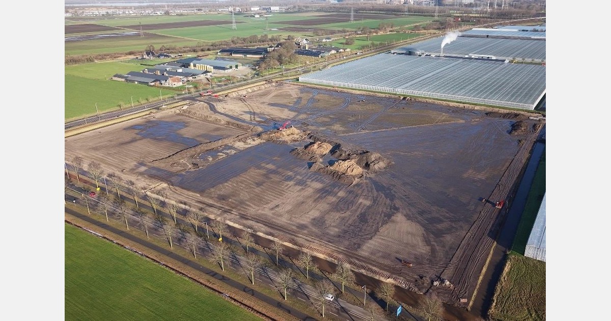 Young growers drive greenhouse expansion in the Netherlands despite energy uncertainty