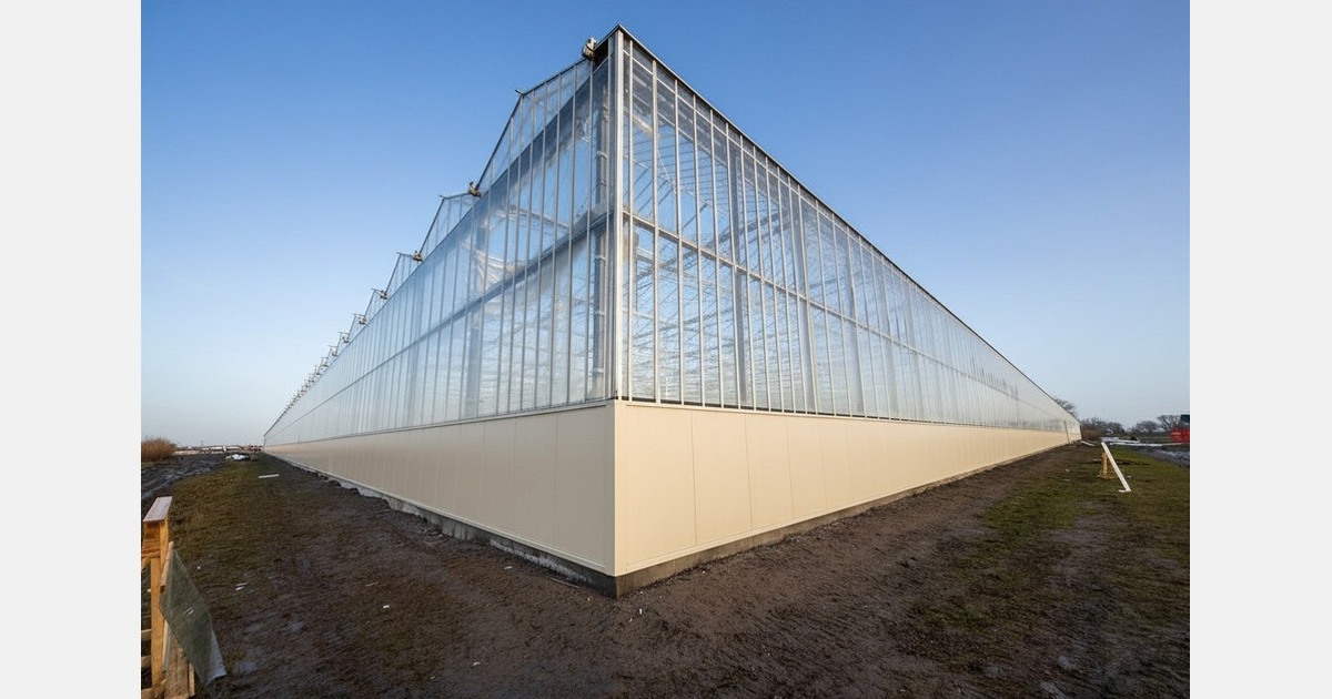 Raising greenhouse height: a strategic choice for growers