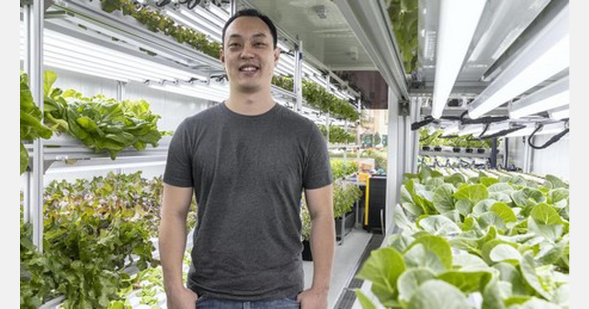 The Shipping Container Farm Helping To Feed A Dubai Community