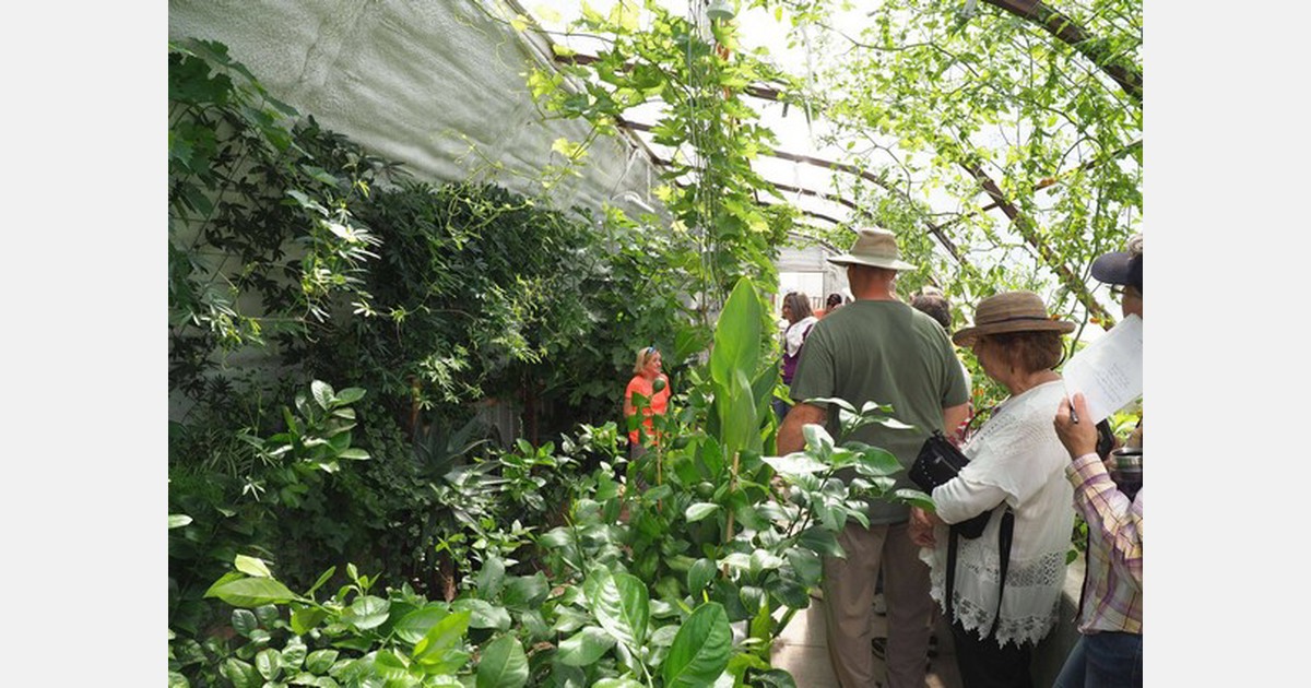 US (NE) Geothermal greenhouse brings together unusual collection of crops