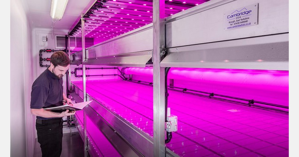 How much does vertical farming cost?