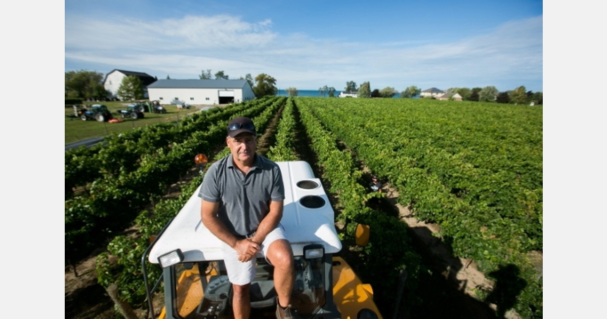 "Hiring local workers for onfarm jobs isn’t as easy as it sounds"