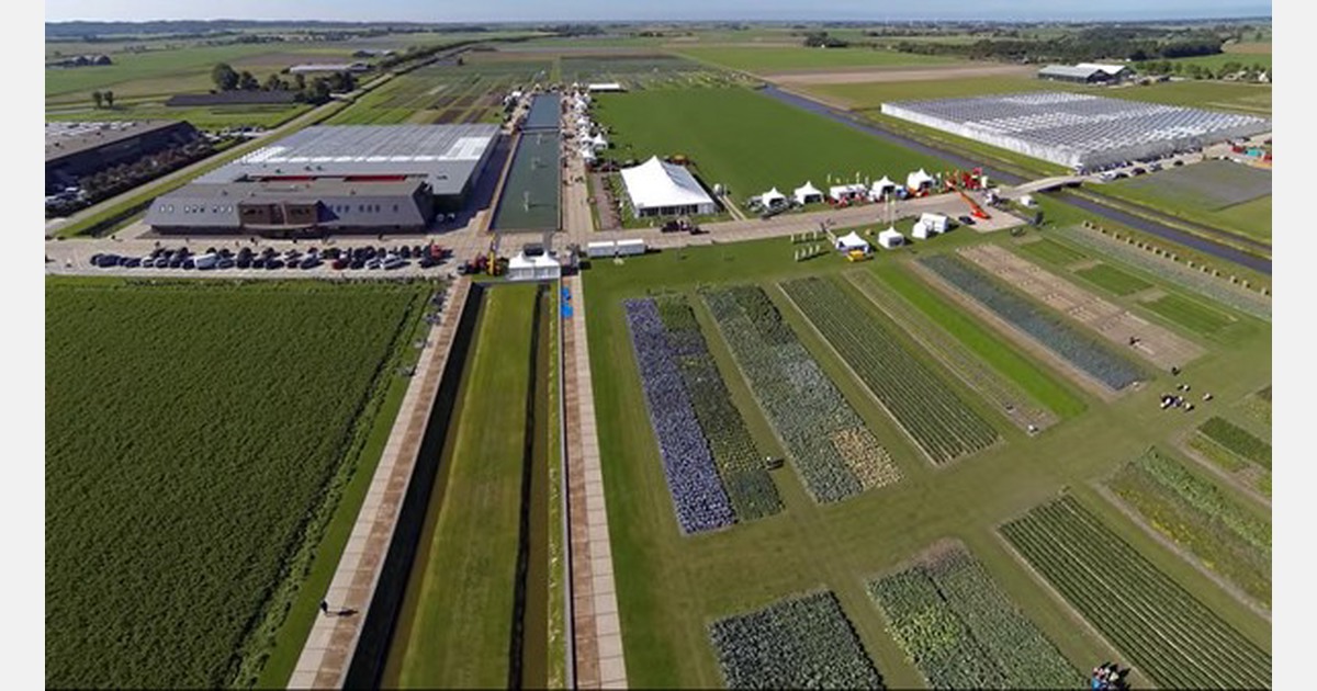 Virtual open house Bejo Seeds