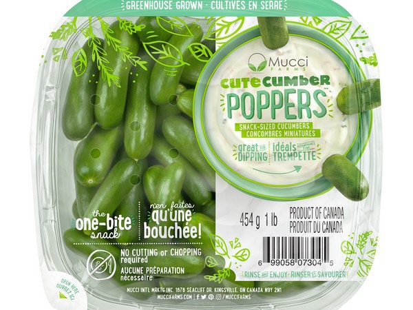 One-bite cucumber grown at Mucci Farms